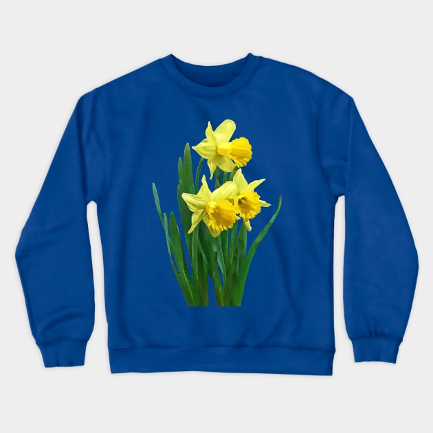 Daffodils - Daffodils Tall and Short Crewneck Sweatshirt by SusanSavad